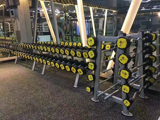 Customized Logo Gym Fitness Equipment Rubber Cover Dumbbells for Market Demand