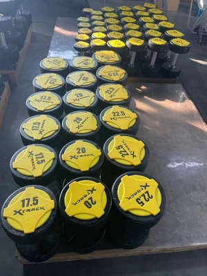 Customized Logo Gym Fitness Equipment Rubber Cover Dumbbells for Market Demand