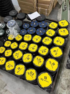 Customized Logo Gym Fitness Equipment Rubber Cover Dumbbells for Market Demand