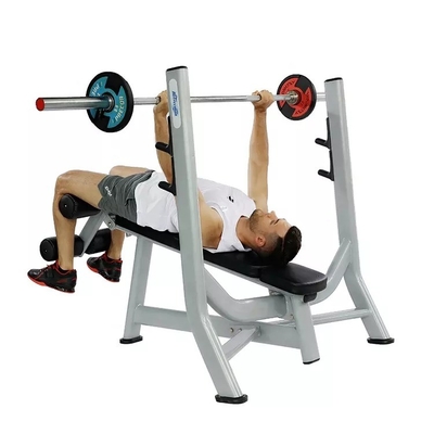 Two Layer Electrostatic Powder Coating Surface Power Training Bench for Body Building