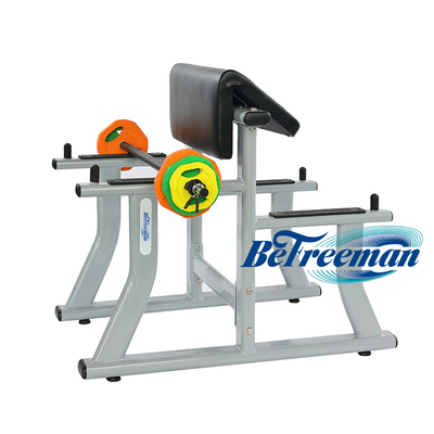 Unisex Bicep Curl Exercise Free Weight Dumbbell Arm Strength Training Bench Rack Stand