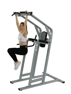 Gym Fitness Equipment Leg Raise /Pull Up Bar in Two Layer Electrostatic Powder Coating