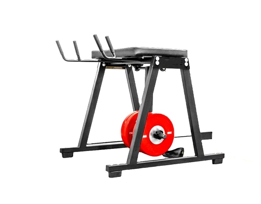 Customized Reverse Hyper Extension Press Muscle Leg Exercise Equipment 2200*1500*2250mm