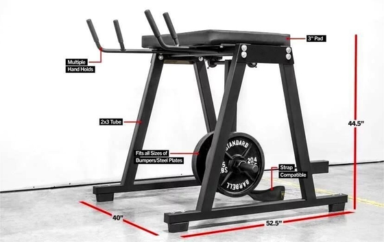 Customized Reverse Hyper Extension Press Muscle Leg Exercise Equipment 2200*1500*2250mm