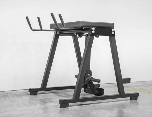 Customized Reverse Hyper Extension Press Muscle Leg Exercise Equipment 2200*1500*2250mm