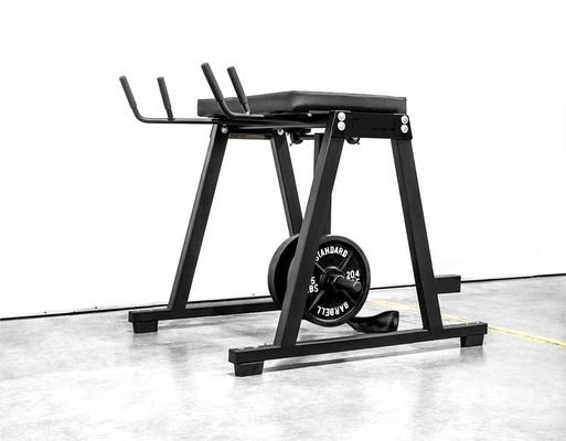 Customized Reverse Hyper Extension Press Muscle Leg Exercise Equipment 2200*1500*2250mm