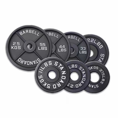 Professional Cast Iron Weight Plates for Strength Training Unisex Home Gym Equipment