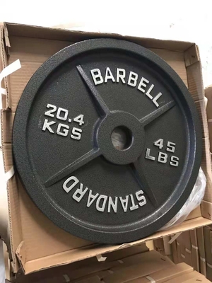 Professional Cast Iron Weight Plates for Strength Training Unisex Home Gym Equipment