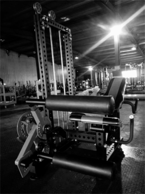 Seated leg curl/ prone leg curl/leg extension Medium Loader for Steel Fitness Equipment