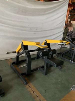2022 Design Home Gym Fitness Equipment Seated Biceps Machine with Steel Construction
