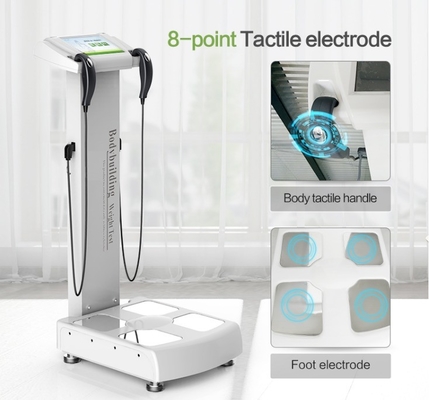 Gym Center BIA Body Inbody Analyzer Machine/Body Analyzer/Body Composition Analyzer