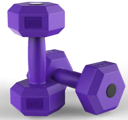 2.5kg Black Rubber Hex Dumbbell Set The Ultimate Tool for General Fitness Enthusiasts