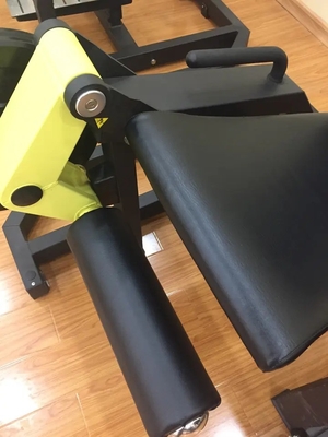 Steel Gym Strength Training Free Weight Seated Leg Extension with Durable Steel Frame