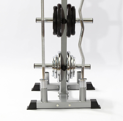 Steel Weight Plate Rack for Medium Loaders Gym Equipment by Befreeman
