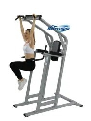 Gym Equipment Pull Up Bar Leg Raise and Chest Shoulder Workout Power Tower Dip Station