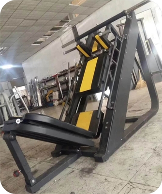 Medium Loader 2 in 1 Hack Squat and Leg Press Machine for Bench Training in Shandong