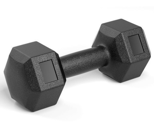 Customized Logo Commercial Free Weight Training Dumbbell Fitness for Body Building