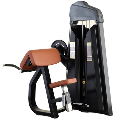 Professional Gym Fitness Equipment Seated Bicep Machine for Strength Training Workout