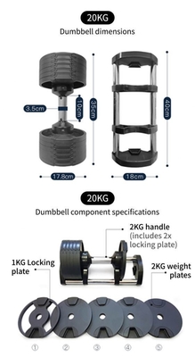 Custom Logo Paint-baked Dumbbell for Adjustable Home Gym Free Weights Training