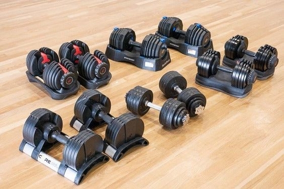 Custom Logo Paint-baked Dumbbell for Adjustable Home Gym Free Weights Training