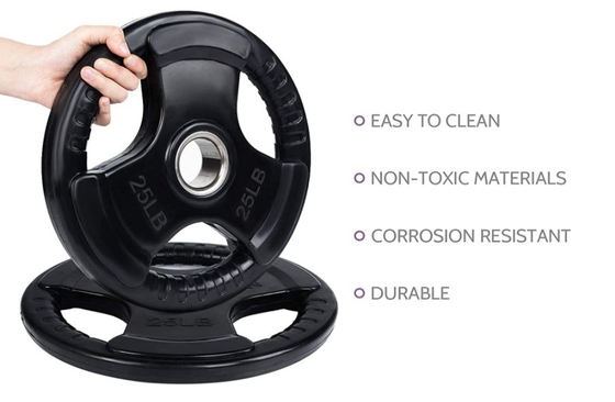 Black Cast Iron Barbell Weight Lifting Plate for Gym Commercial Frame Color Selectable