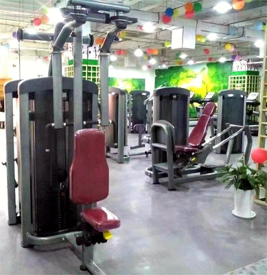 Commercial Gym Equipment Multi Functional Trainer for Chest Press and Back Extension