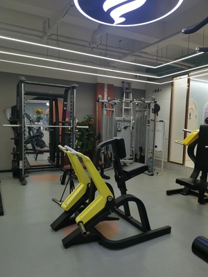 Home Gym Fitness Equipment Plate Loaded Shoulder Press Customized for High Standards