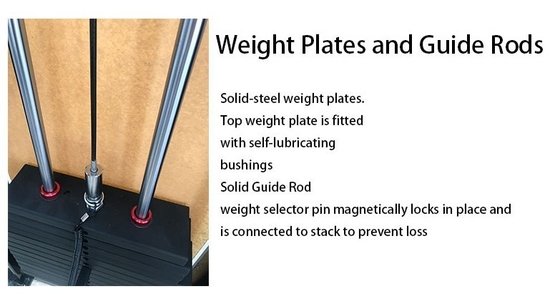 Fitness Bodybuilding Exercise Seated Back Extension Pin Loaded Body Strength Training
