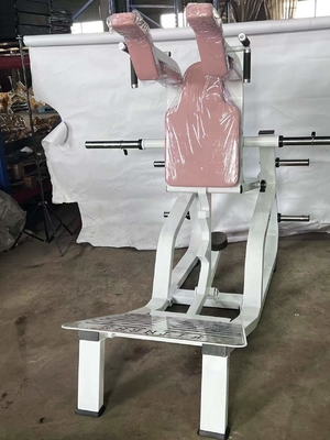 Optional Selectable Frame Color 2022 Gym Equipment Plate Loaded Machine Hack Squat Machine