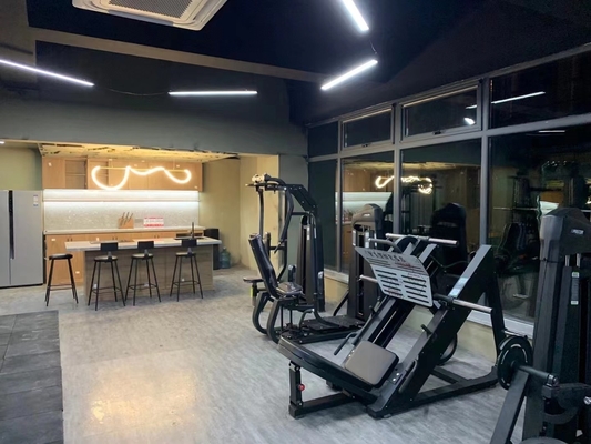 Other Capacity Gym Equipment Hack Squat Machine with Optional Selectable Frame Color