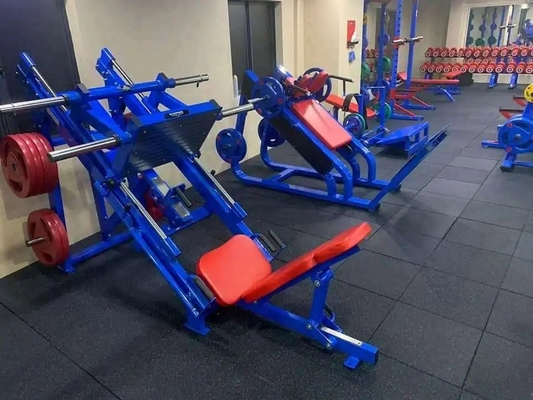 2230*1630*1270 Leg Extension Machine for Bench Press The Perfect Addition to Your Gym