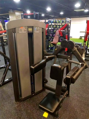 Home Gym Bicep Training Made Easy with a Seated Lateral Raise Weight Exercise Machine