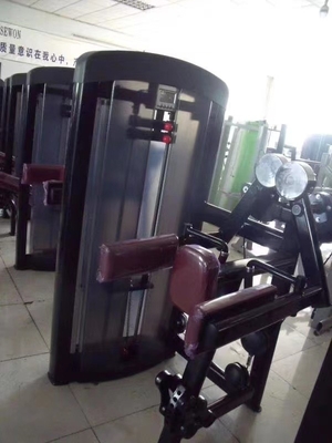 Home Gym Bicep Training Made Easy with a Seated Lateral Raise Weight Exercise Machine