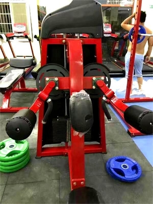 Indoor Sport Commercial Seated Lateral Raise Machine for Effective Shoulder Workouts