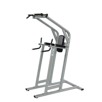 Gym Center Frame Color Optional Selectable Chin Dip Leg Raise Exercise Fitness Machine