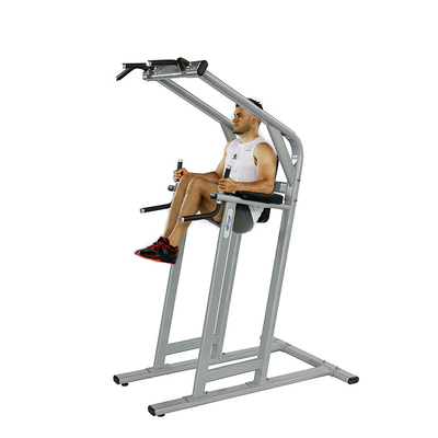 Gym Center Frame Color Optional Selectable Chin Dip Leg Raise Exercise Fitness Machine
