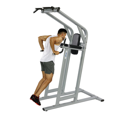 Gym Center Frame Color Optional Selectable Chin Dip Leg Raise Exercise Fitness Machine