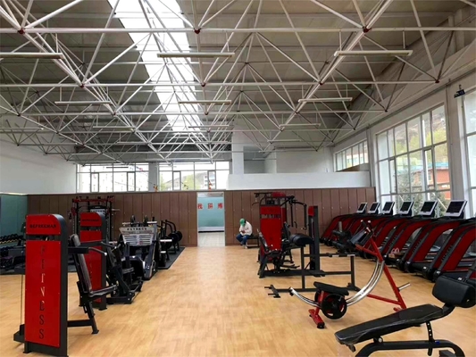 Medium Loader Type Steel Seated Back Extension Machine for Strength Training Fitness Equipment