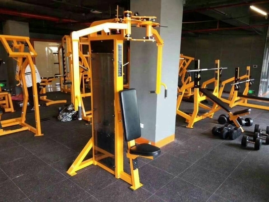 Medium Loader Type Steel Seated Back Extension Machine for Strength Training Fitness Equipment
