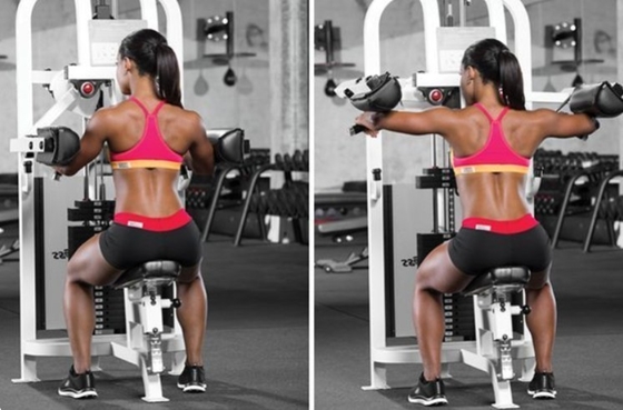 Seated Shoulder Press Lateral Raise Pin Load Selection Machines for Strength Training