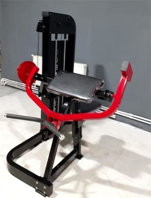 Medium Loader Pin Loaded Steel Seated Biceps Curl for Strength Training Gym Equipment