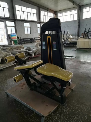 Multiplayer Training Gym Equipment Commercial Pin Load Machine 2 in 1 Seated Leg Extension Leg Curl Machine