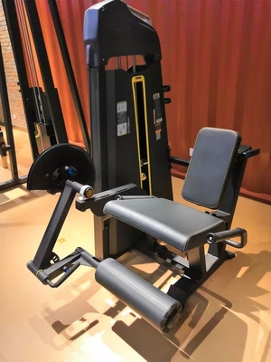 Universal Seated Leg Extension and Leg Curl Pin Load Selection for Strength Training