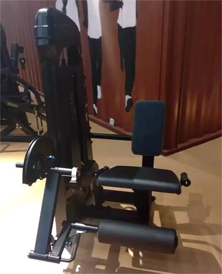 Universal Seated Leg Extension and Leg Curl Pin Load Selection for Strength Training