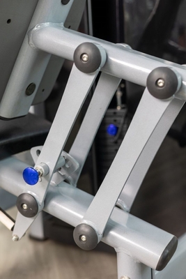 Steel Q235 Leg Curl Machine for Strength Training Pin Load Selection and Bodybuilding