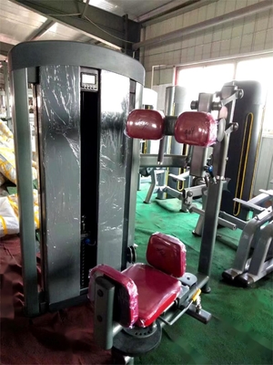 Build Muscle with Rotary Torso Rotation Machine Commercial Pin Load Selection Machines