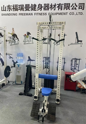 Strength Training 2 in 1 High Pull Low Row Fitness Equipment with Multi-Level Adjustment