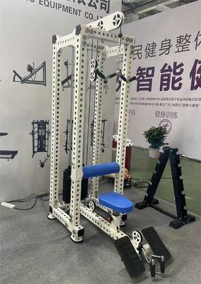 Strength Training 2 in 1 High Pull Low Row Fitness Equipment with Multi-Level Adjustment