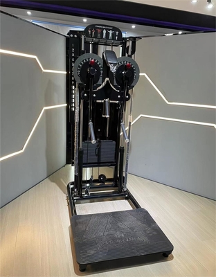 Maximize Your Gains Standing Multi Flight Lateral Raise for Home Commerical Exercise