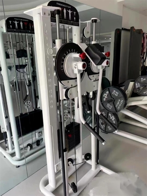 Maximize Your Gains Standing Multi Flight Lateral Raise for Home Commerical Exercise